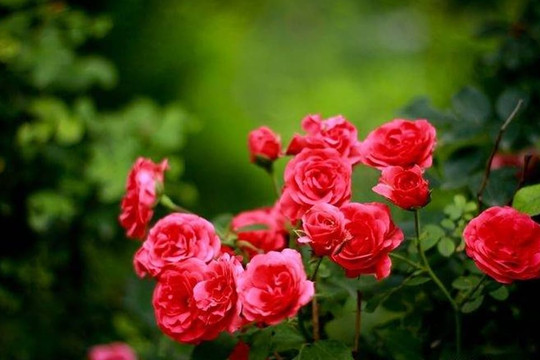 Cuộc sống quá mệt mỏi? Hãy làm 3 điều này để giảm bớt gánh nặng cho cuộc sống của bạn