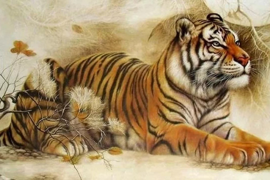Phụ nữ tuổi này trời sinh mang cốt cách nữ hoàng, cuộc đời may mắn, vinh hoa phú quý hiếm ai bằng