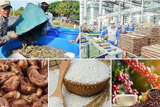 Giá trị xuất khẩu nông, lâm, thuỷ sản đạt 72% mục tiêu cả năm