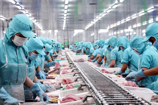Xuất khẩu thủy sản sang Nga dần hồi phục