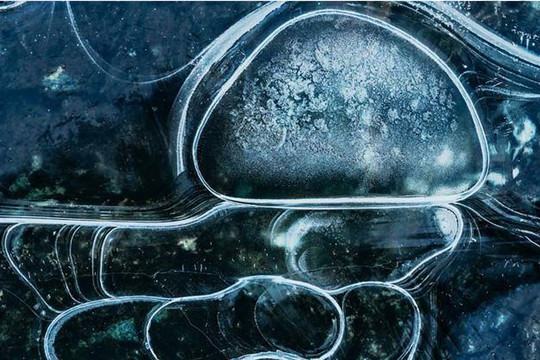 'Virus khổng lồ' đang lây nhiễm tảo trong một hồ nước nổi hiếm hoi ở Bắc Cực