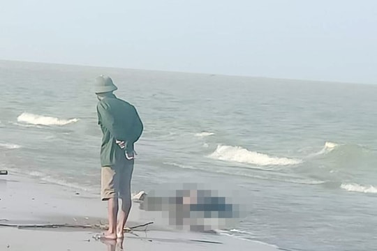 Phát hiện thi thể nam thanh niên dạt vào bờ biển