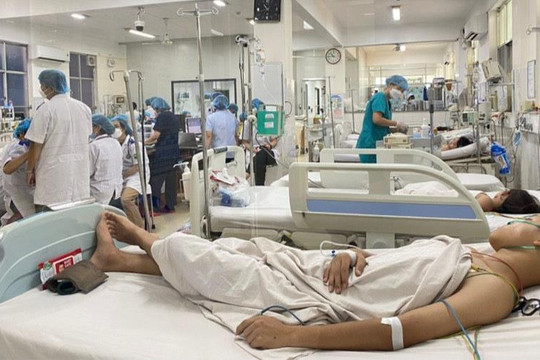 Bà Rịa – Vũng Tàu: Số ca sốt xuất huyết tăng cao kỷ lục, đã có 11 ca tử vong