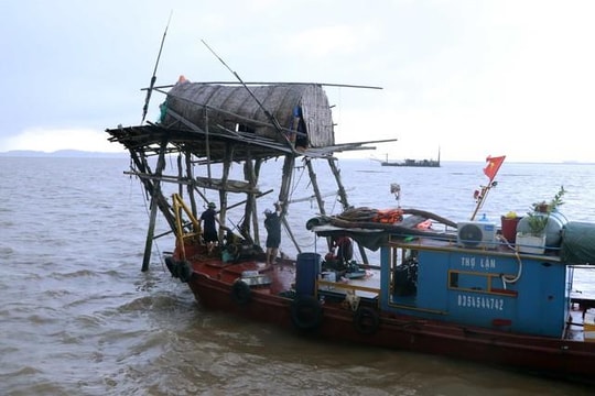 Hải Phòng: Phê bình hai Chủ tịch huyện chậm xử phạt việc nuôi ngao không phép