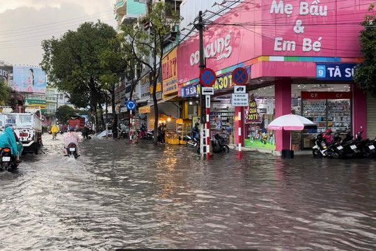 TP Bạc Liêu: Đường phố nội ô chìm trong biển nước dù đã liên tục được nâng cấp