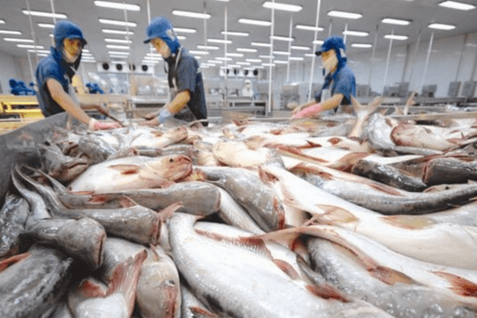 Xuất khẩu cá tra sang thị trường Anh năm 2022 tăng 30%