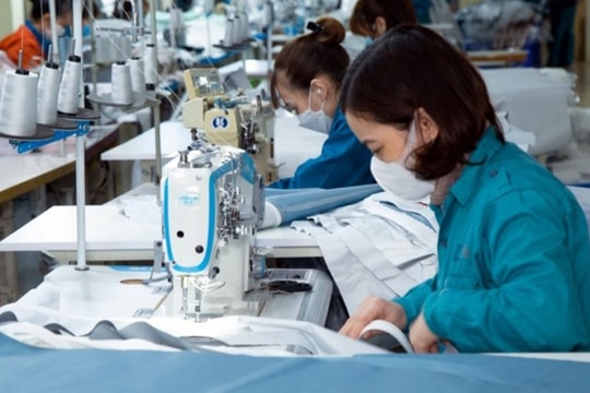 Ngành dệt may tăng trưởng chậm những tháng cuối năm