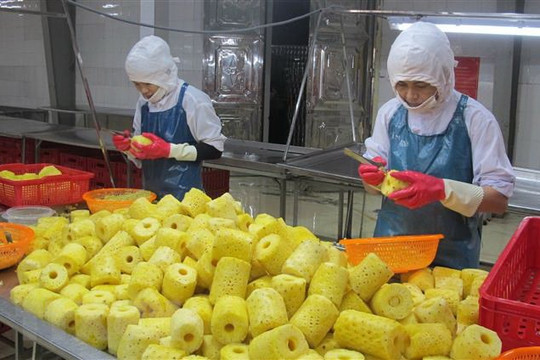 Việt Nam ngày càng chú trọng nâng cao chất lượng thực phẩm