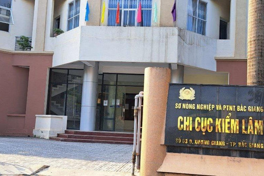 Nhiều dấu hiệu vi phạm quy định về đấu thầu tại Chi cục Kiểm lâm tỉnh Bắc Giang
