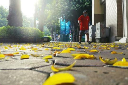 Bắc Bộ nắng nóng cục bộ, Nam Bộ mưa rào và dông