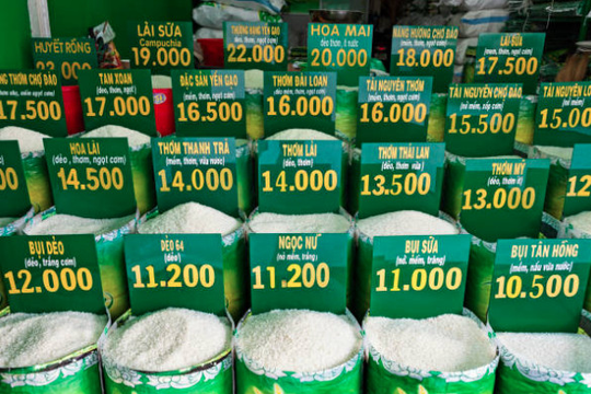 Việt Nam, Thái Lan đàm phán tăng giá gạo xuất khẩu vào tháng 10