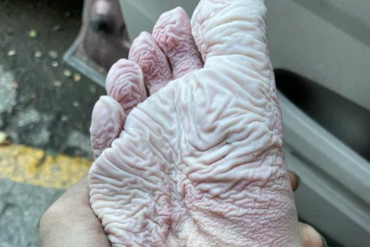 Con người là sinh vật độc nhất trong vũ trụ nhờ những chi tiết khiến ai nghe qua cũng phải 'há hốc' này