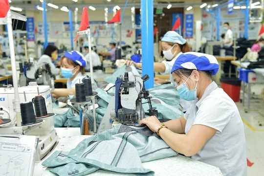 Xuất khẩu dệt may dự kiến đạt 3,1 - 3,4 tỷ USD/tháng trong 4 tháng cuối năm