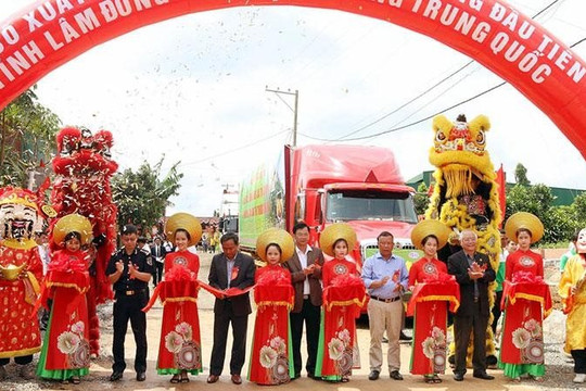 Lâm Đồng: Những chuyến xe đầu tiên xuất khẩu sầu riêng sang thị trường Trung Quốc