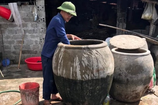 Hàng trăm người phải nhập viên do dịch sốt xuất huyết 