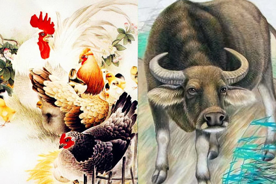 Trong ba tháng tới, 4 con giáp tài lộc hanh thông, của cải có thể tăng vọt