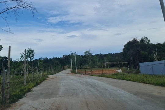 “Xẻ thịt” đất trồng cây công nghiệp để phân lô ở xã Cửa Cạn, TP Phú Quốc