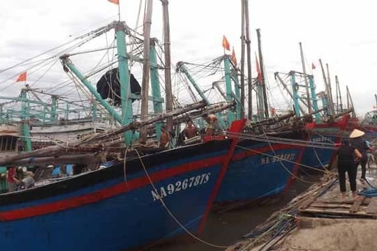 Nghệ An: Cấm biển, chủ động công tác phòng chống bão Noru
