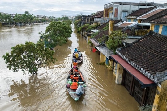 57 người bị thương do bão Noru