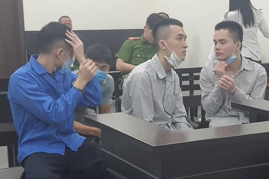 Lừa bán lan đột biến, chiếm đoạt hơn 2,5 tỉ đồng
