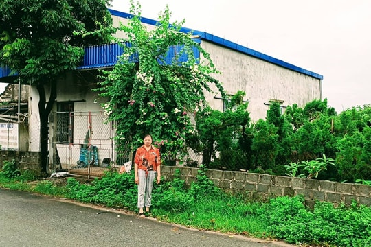 Huyện Nam Trực (Nam Định): Cần làm rõ việc đất có sổ đỏ “bỗng nhiên” bị người khác xây dựng nhà ở