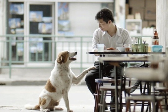 Storytelling – nghệ thuật kể chuyện trong xây dựng thương hiệu