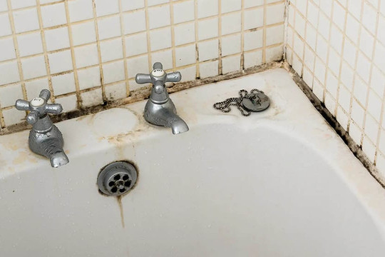 Cách loại bỏ nấm mốc đen ăn sâu trong phòng tắm mà không cần hóa chất