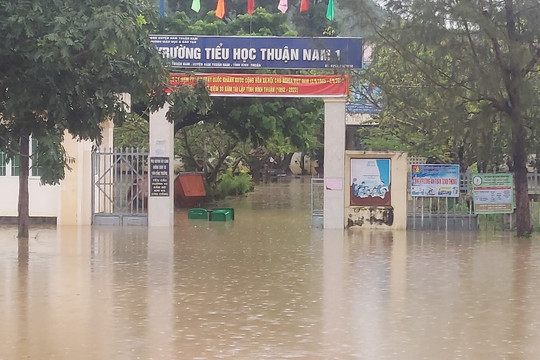 Bình Thuận: Sau trận mưa lớn, nhiều nơi tại huyện Hàm Thuận Nam chìm sâu trong nước