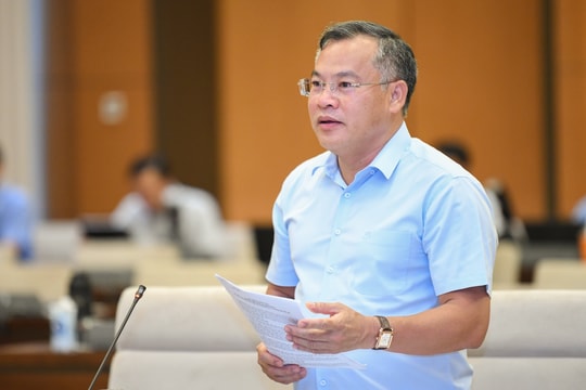 Sẽ đấu giá biển số xe ô tô bằng hình thức trực tuyến