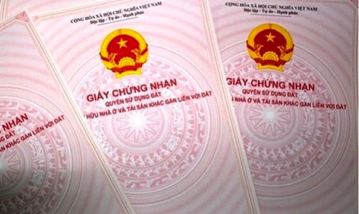 Đồng Nai: Dính kiện tụng dù nhận chuyển nhượng đất hợp pháp