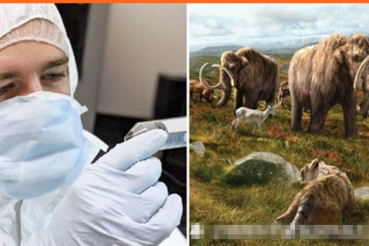 Các nhà khoa học đang cố gắng mang lại 9 loài động vật đã tuyệt chủng từ lâu, bạn biết không?