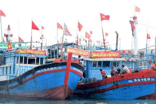 Các tỉnh, thành phố từ Quảng Ninh đến Bình Định chủ động ứng phó với bão Nesat