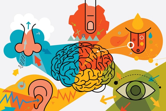 Khơi gợi mọi giác quan của khách hàng với sensory marketing
