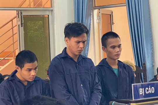 Bình Định: Ném bom xăng vào nhà bố vợ, con rể lĩnh án 3 năm tù