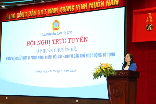 Tập huấn chuyên đề Pháp lệnh Xử lý vi phạm hành chính đối với hành vi cản trở hoạt động tố tụng