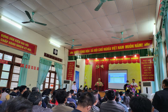 Hà Nội: Hai “khách vip” vung tiền ôm trọn 15 lô đất đấu giá