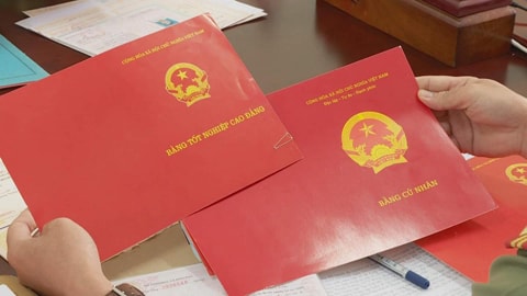 Sử dụng bằng giả để xin việc bị xử lý thế nào?