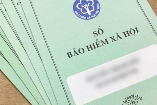 Tây Ninh: Hơn 240 doanh nghiệp nợ BHXH, BHYT, Bảo hiểm thất nghiệp kéo dài