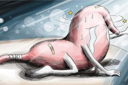 Dạ dày có “ba nỗi sợ” cần từ bỏ, nhớ 4 “mẹo dưỡng dạ dày”, bồi bổ dạ dày thì khỏi ốm