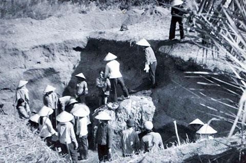 Cấp phép khai quật khảo cổ tại di tích Cái Bèo, TP Hải Phòng