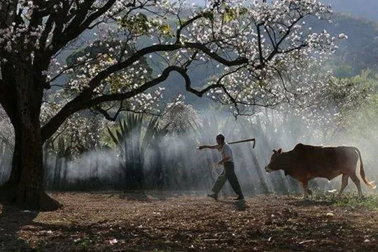 'Con người tham lam ba thứ, cả đời bận rộn', đấy là ba thứ nào? Sớm biết ít chịu thiệt!