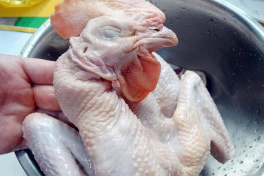 Khi hầm gà, có người đun sôi nước, có người hầm trực tiếp, đầu bếp lâu năm: 'Không đúng, dạy cho bạn cách làm đúng đắn!'