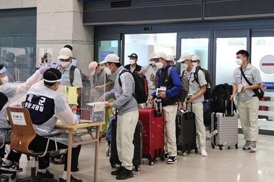 Thành lập Ban chỉ đạo về công tác bảo hộ công dân Việt Nam ở nước ngoài