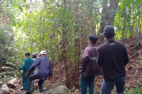 Tìm thấy thi thể nữ du khách mất tích khi đi núi Tà Cú
