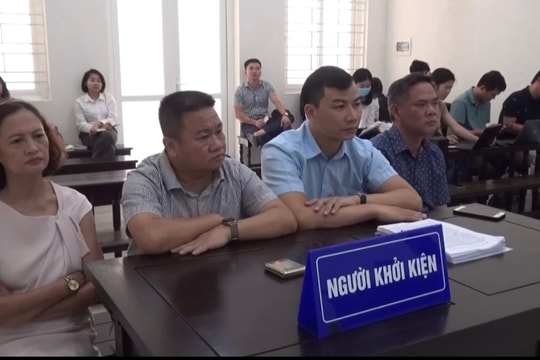 Hải Phòng: Một quyết định hành chính đẩy doanh nghiệp đến bờ phá sản
