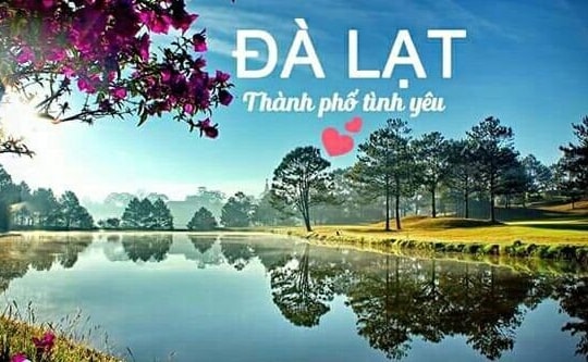Lợi ích của việc đặt phòng khách sạn Đà Lạt trực tuyến cùng Hoa Dalat Travel