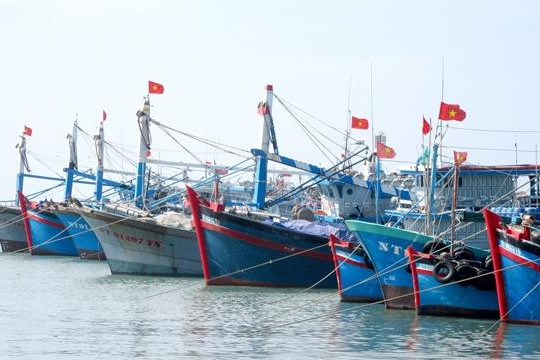 Không cấp phép tàu thuyền đi vào vùng nguy hiểm bão số 7