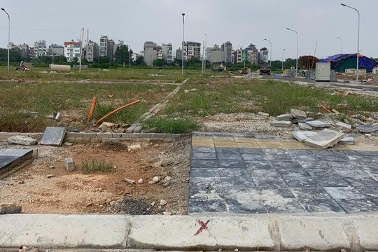 Phê duyệt giá khởi điểm đấu giá đất ở 2 xã huyện Cẩm Giàng
