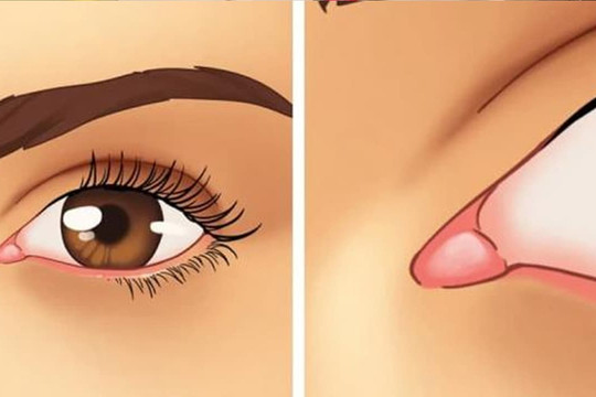 8 cơ quan mà con người có thể tồn tại dù thiếu