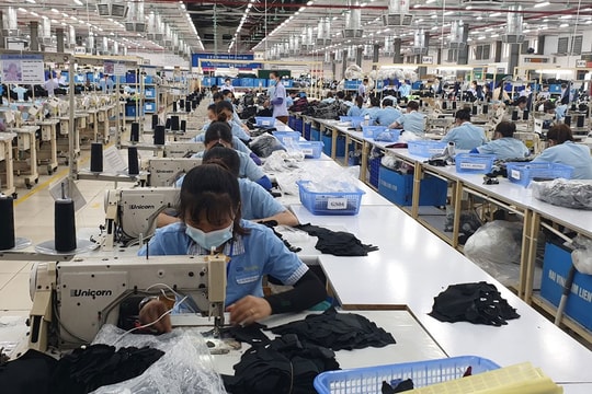 Doanh nghiệp dệt may đối mặt áp lực kép